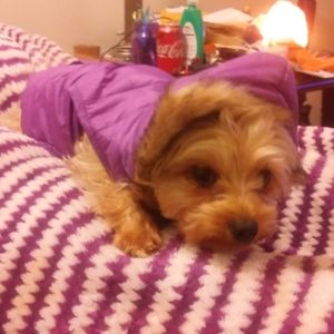 Meet your Posher, Debbie